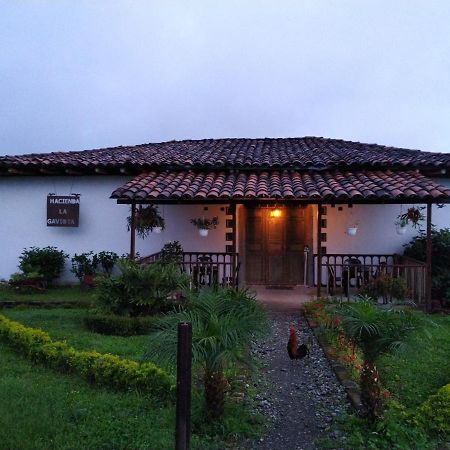 Villa Hacienda Cafetera La Gaviota Chinchiná Esterno foto