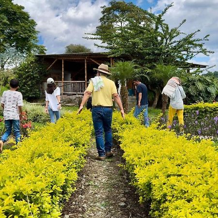 Villa Hacienda Cafetera La Gaviota Chinchiná Esterno foto