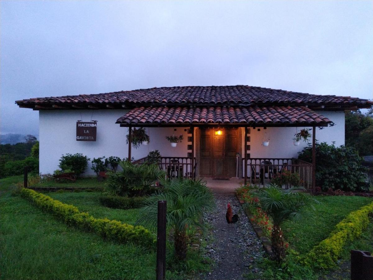 Villa Hacienda Cafetera La Gaviota Chinchiná Esterno foto
