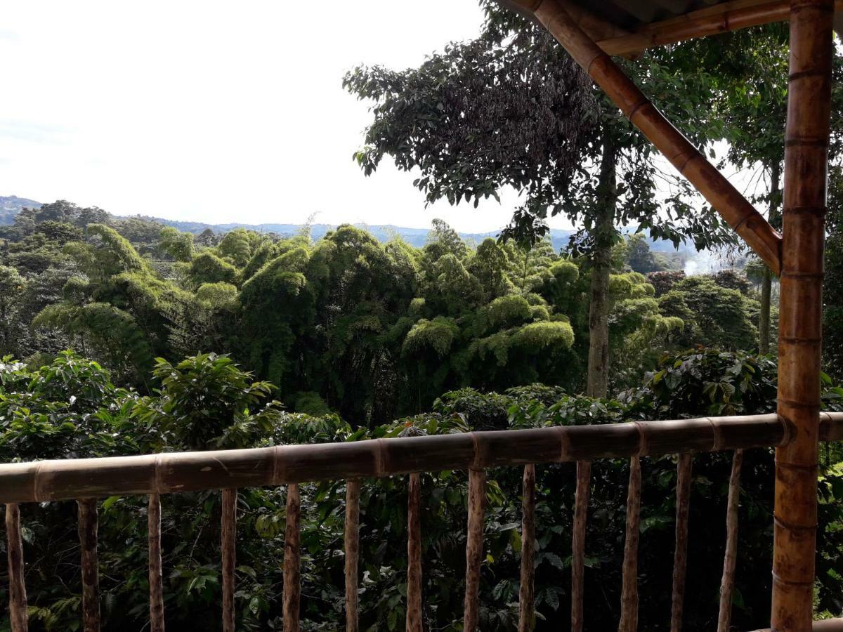 Villa Hacienda Cafetera La Gaviota Chinchiná Esterno foto