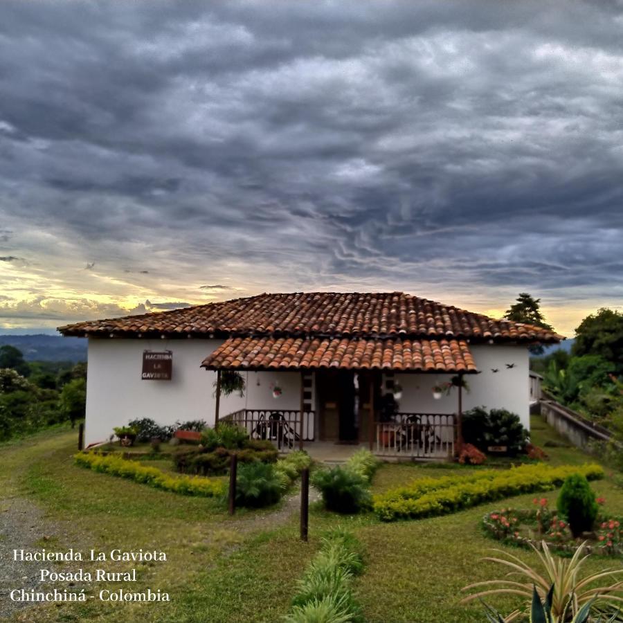 Villa Hacienda Cafetera La Gaviota Chinchiná Esterno foto